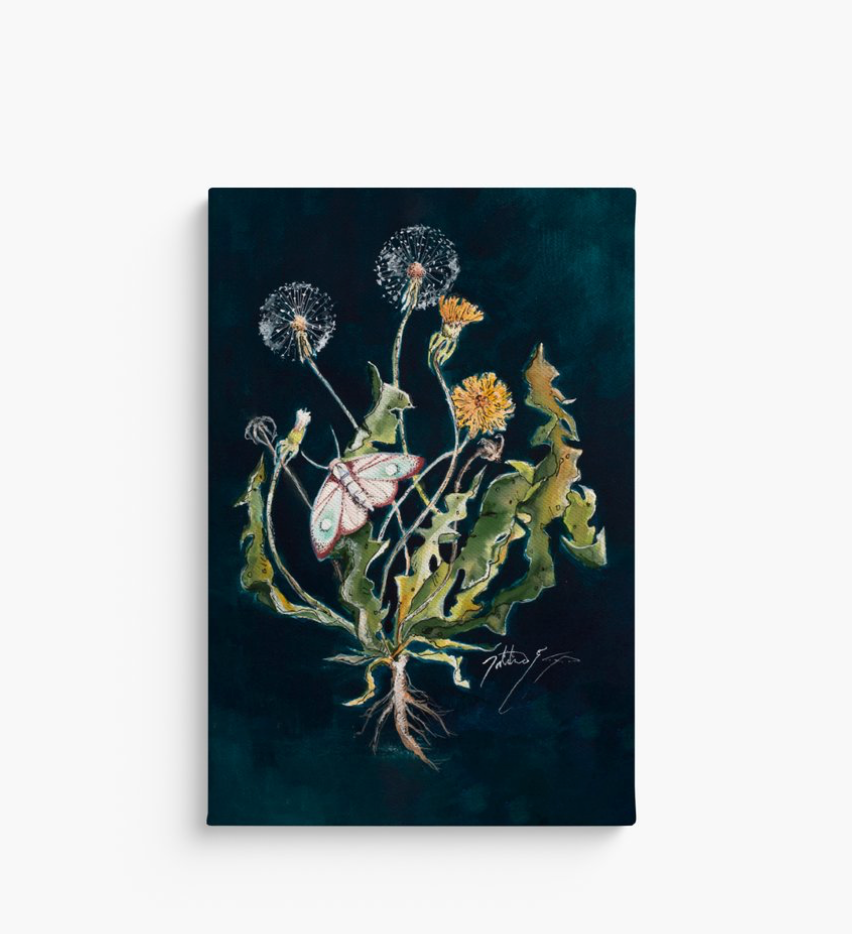 Discovery - Large Dandelion Canvas Print 24x36